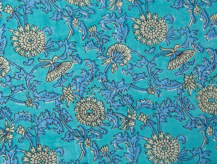 Waterlily