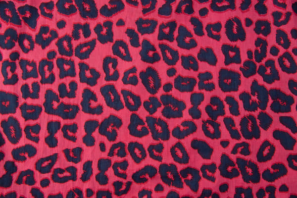 <h2>pink panther</h2>