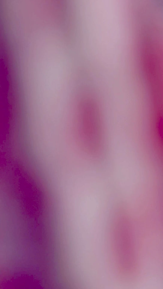 Peony Paisley Cotton Dress